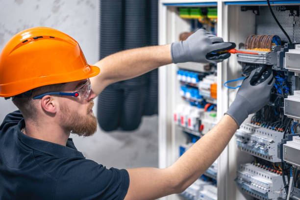 Best Ceiling Fan Installation Electrician  in Williams, CA